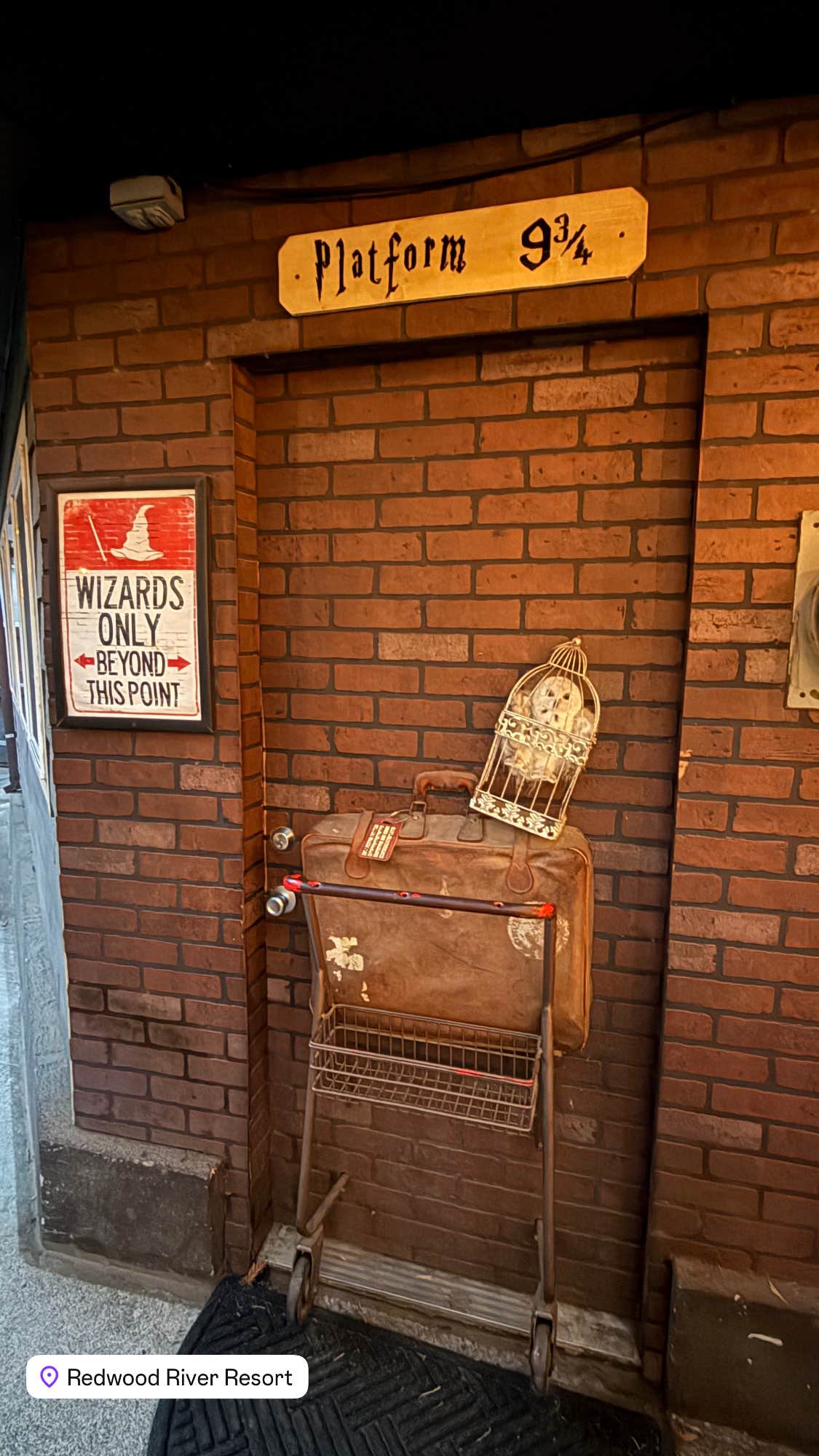 Camper-submitted photo at Redwoods River Resort & Campground near Weott, CA