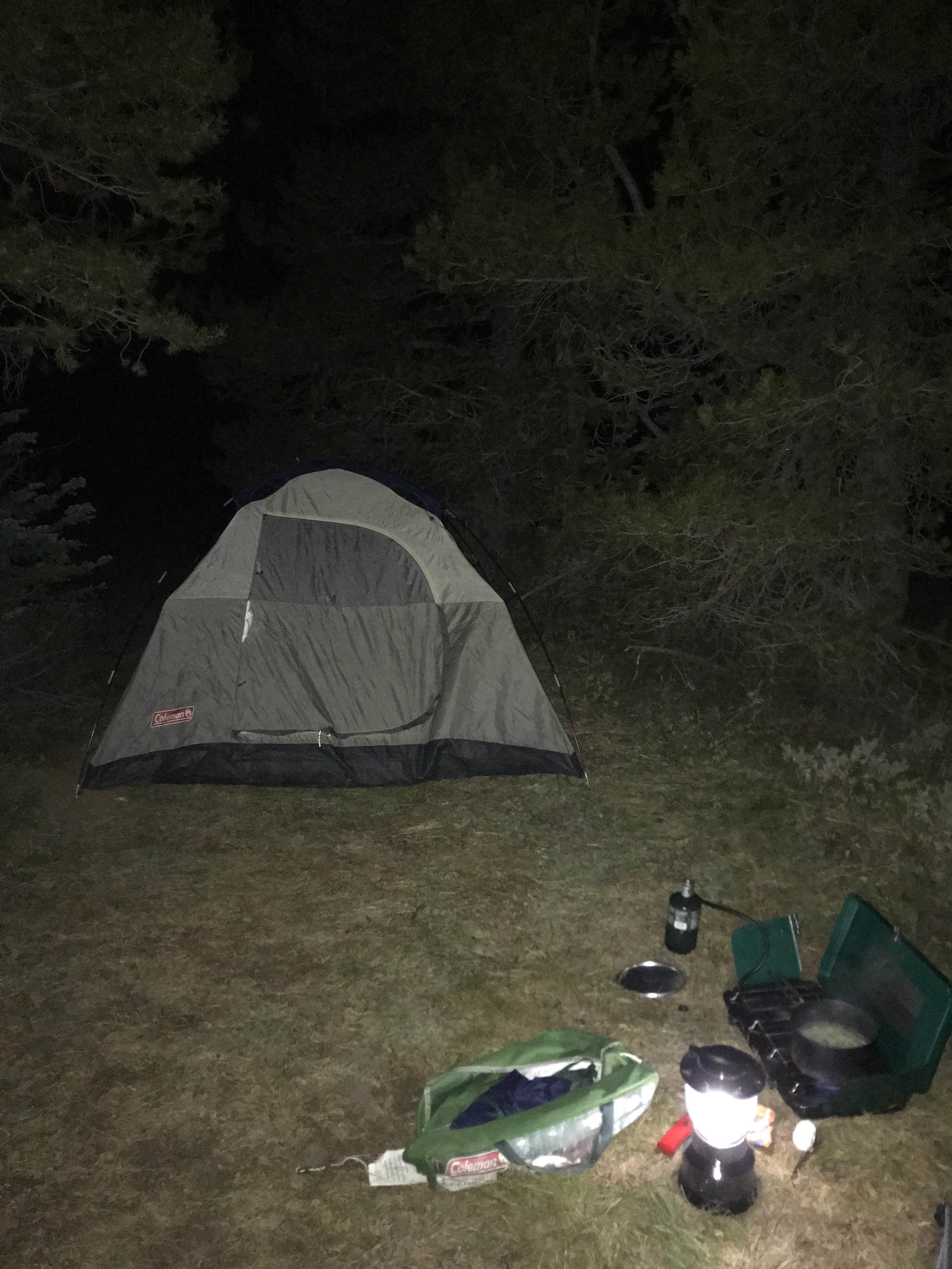Camping near Old Bluett Pass Road Dispersed: Reecer Creek Road Camp, Thorp, Washington