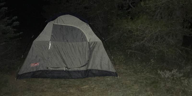 Camper submitted image from Reecer Creek Road Camp