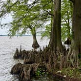 Review photo of Reelfoot State Park by Christine  W., May 25, 2026