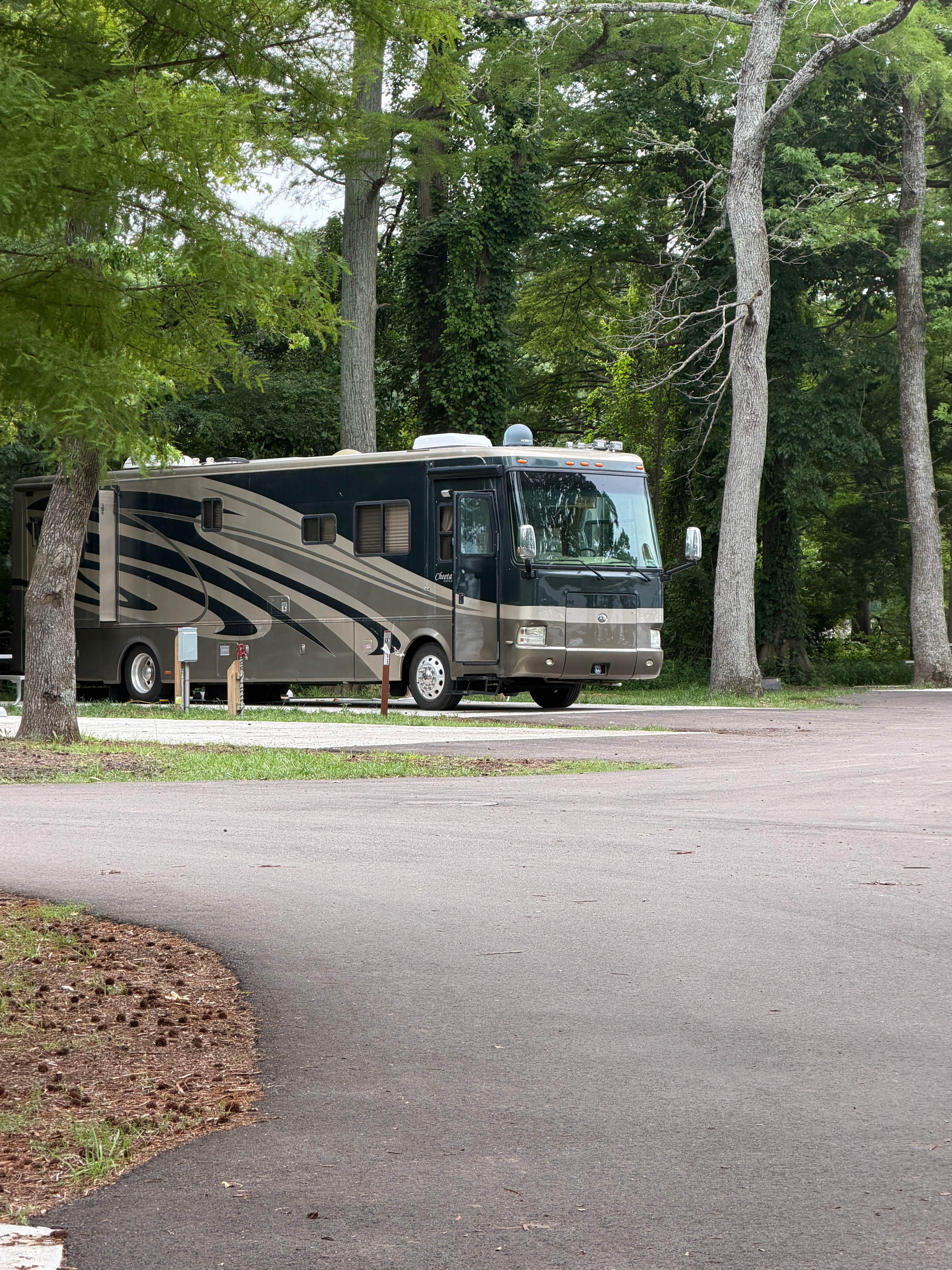 Reelfoot State Park