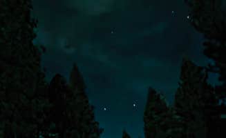 Whitney R.'s photo of a dispersed camping area at Remi's Trail 32N17 Dispersed near Round Mountain, CA