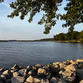 Review photo of Rend Lake Gun Creek Campground by Maggie  C., July 21, 2025