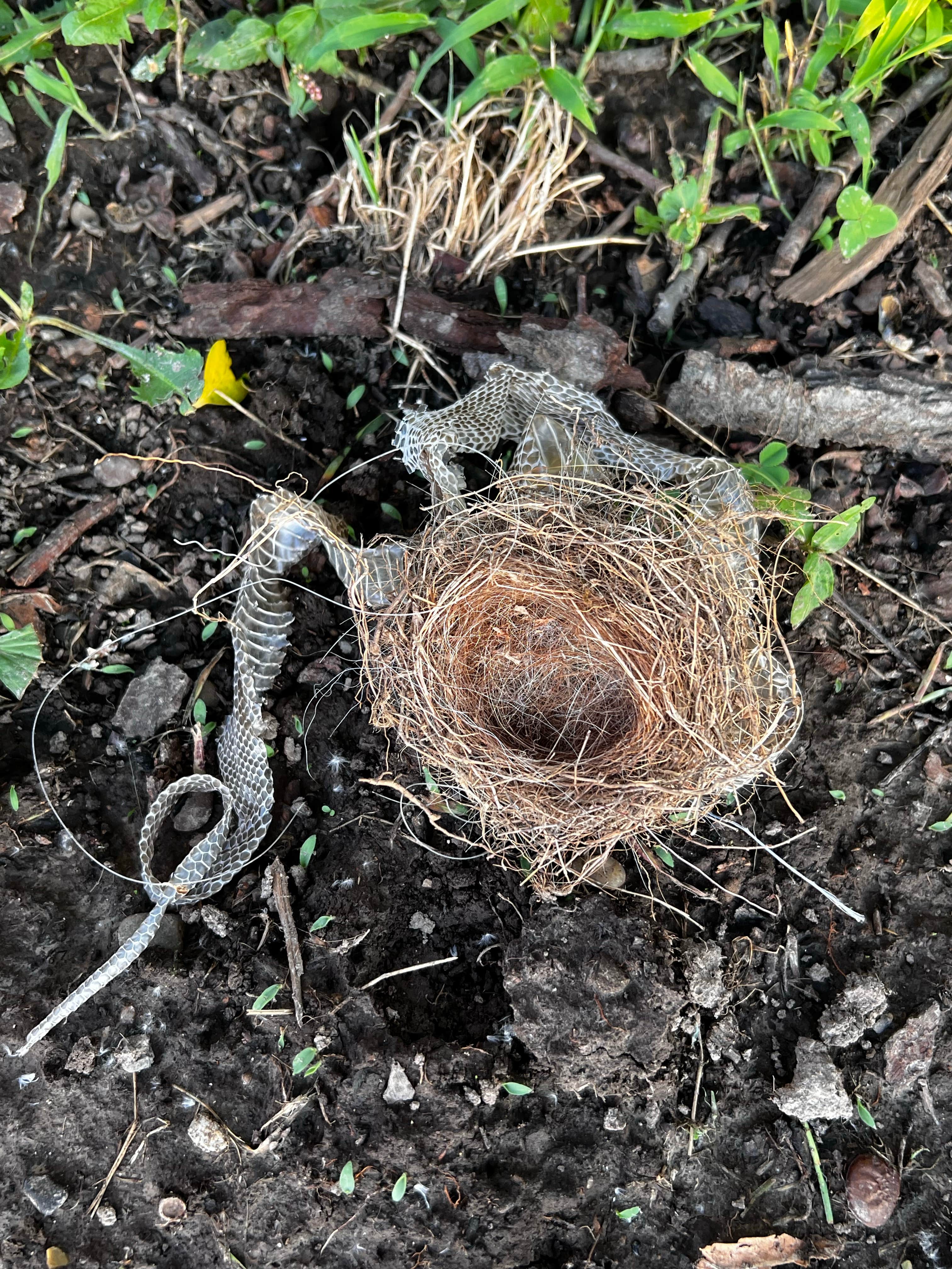 Camper-submitted photo at Rend Lake Gun Creek Campground near Johnsonville, IL