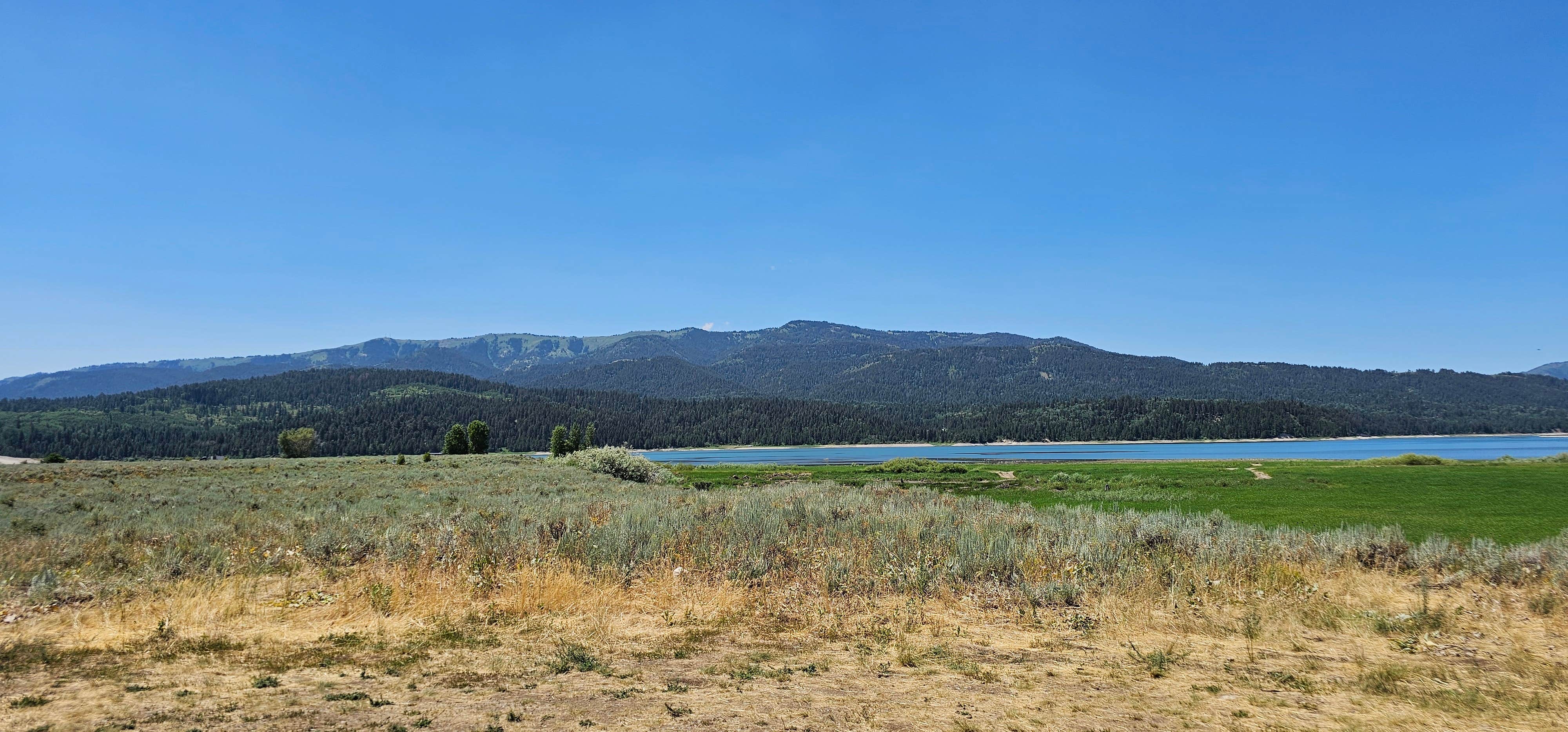 Camper-submitted photo at Reservoir Disperse Camping near Melvin Brewing near Alpine, WY
