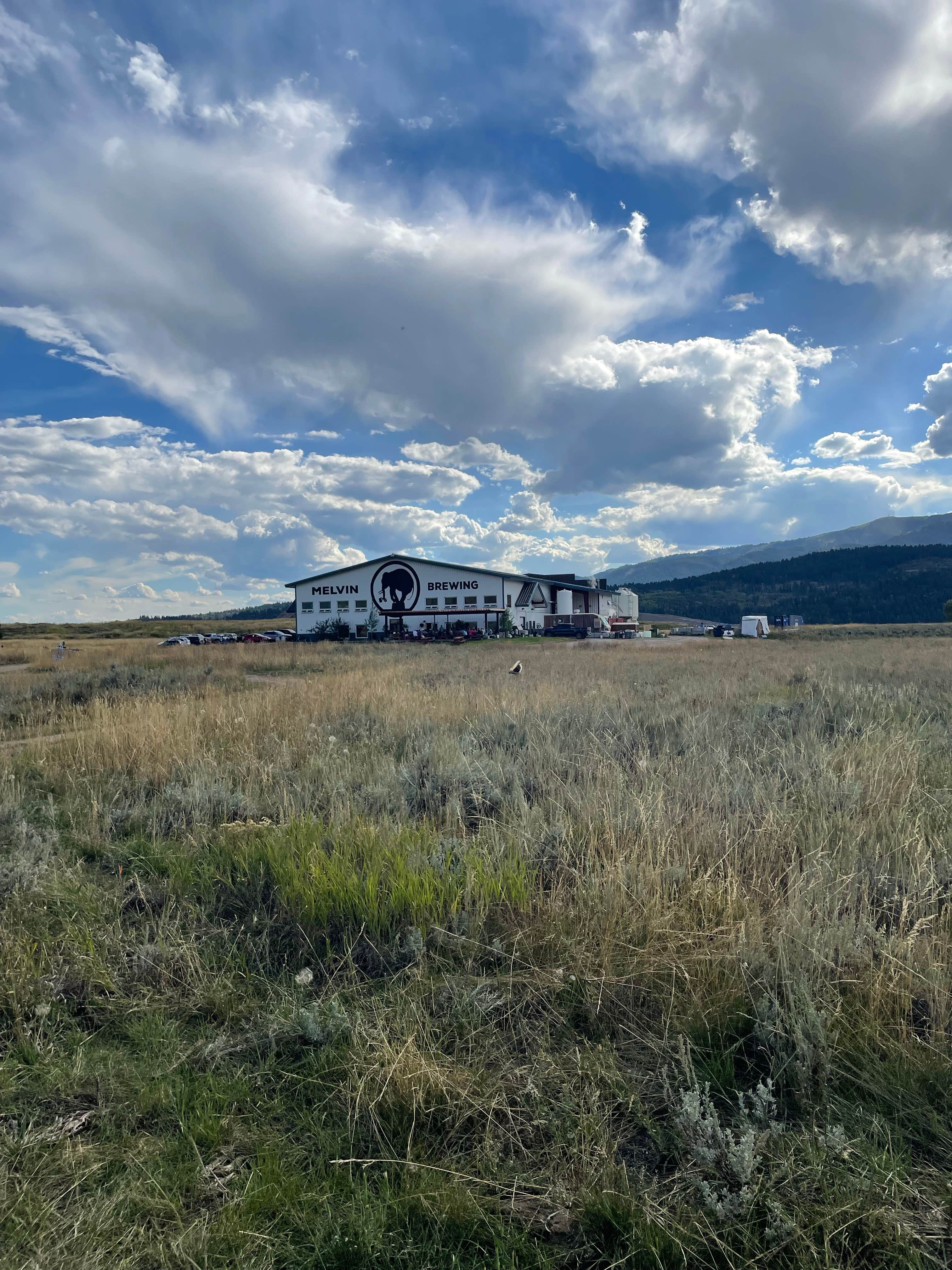 Devin G.'s photo of a dispersed camping area at Reservoir Disperse Camping near Melvin Brewing near Irwin, ID
