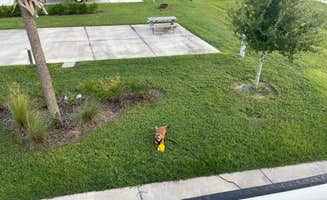 Joe R.'s photo of camping with pets at Resort at Canopy Oaks near Sebring, FL