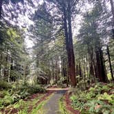 Review photo of Rest Stop Trinidad North Bound by Kari S., April 23, 2026