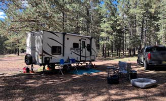 Rhonda D.'s photo at Resumidero Camping Area near Abiquiu, NM