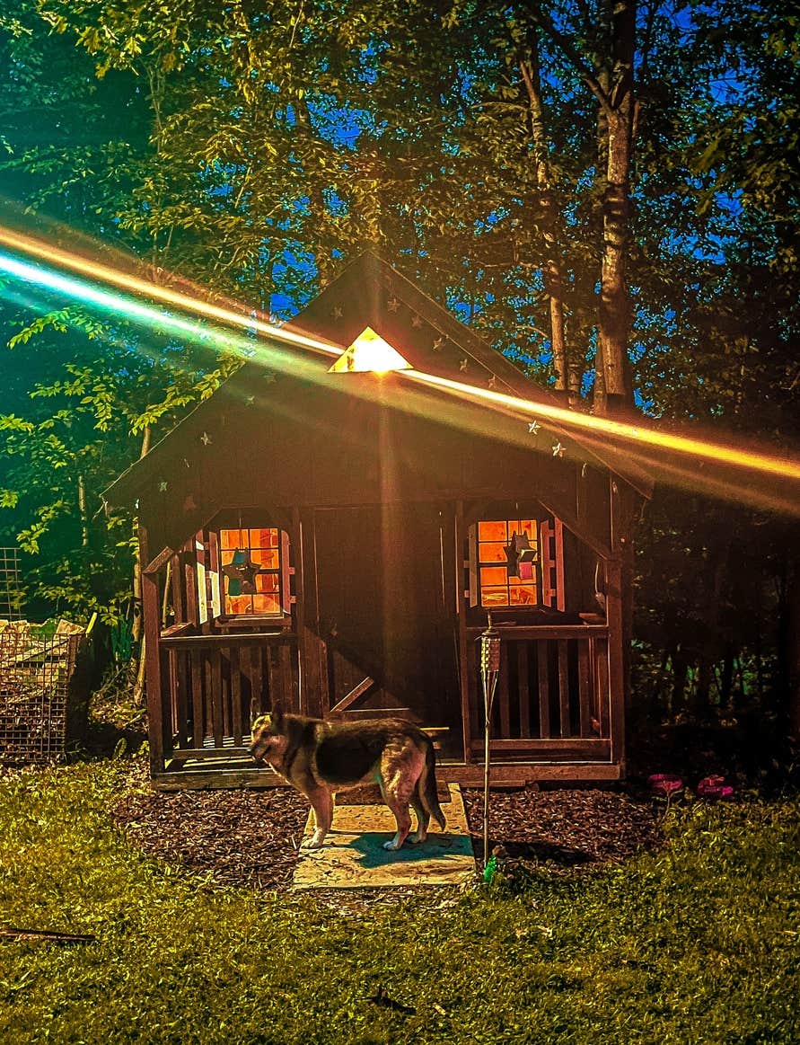 Amymarie's photo of camping with pets at Retreat at Fern Hill near Austin, PA