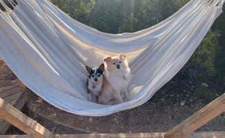 Lynda M.'s photo of camping with pets at Retro Camper with Desert Mountain View near Boulder City, NV