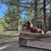 Review photo of Idylease Campground by Alex M., May 5, 2025