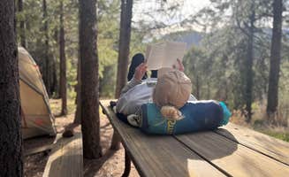 Alex M.'s photo of tent camping at Idylease Campground near Evergreen, CO