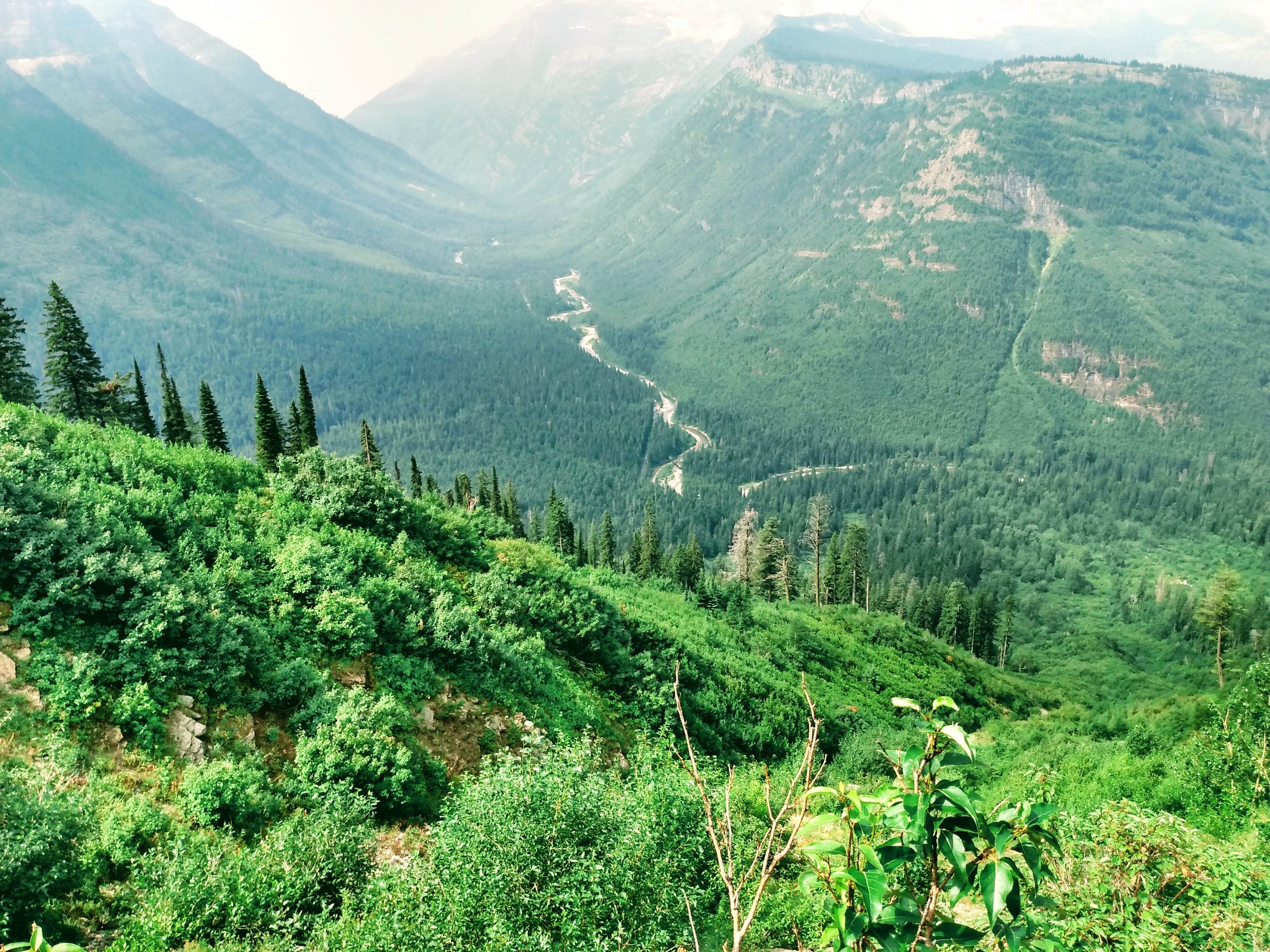Camping near Many Glacier Campground — Glacier National Park: Reynolds Creek Wilderness Campsite — Glacier National Park, Siyeh Bend, Montana