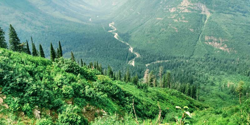 Camper submitted image from Reynolds Creek Wilderness Campsite — Glacier National Park