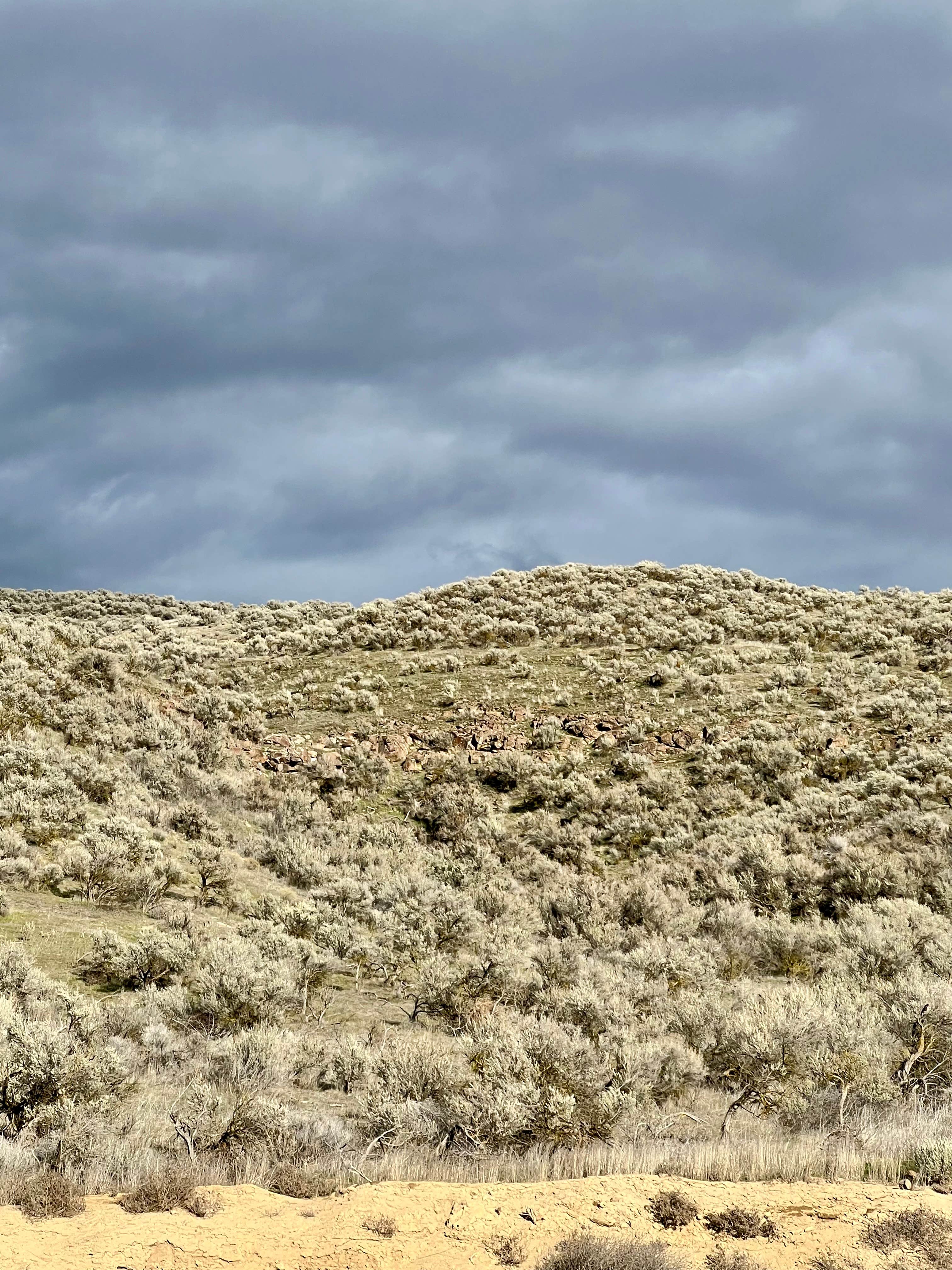Camping near Threemile Canyon Park: Rhea Siding, Boardman, Oregon