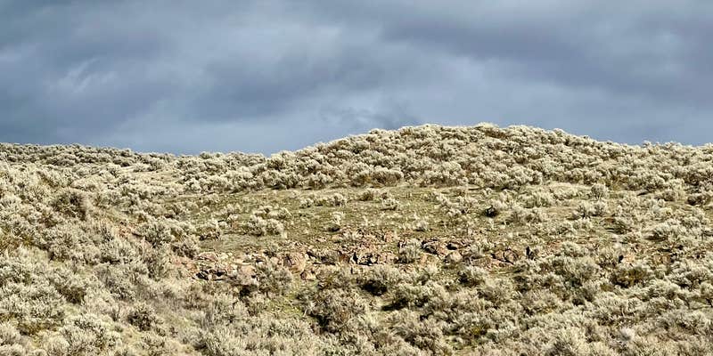 Camper submitted image from Rhea Siding