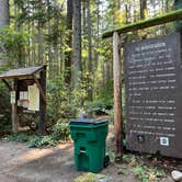 Review photo of Rhododendron Campground by Meghan B., September 4, 2025