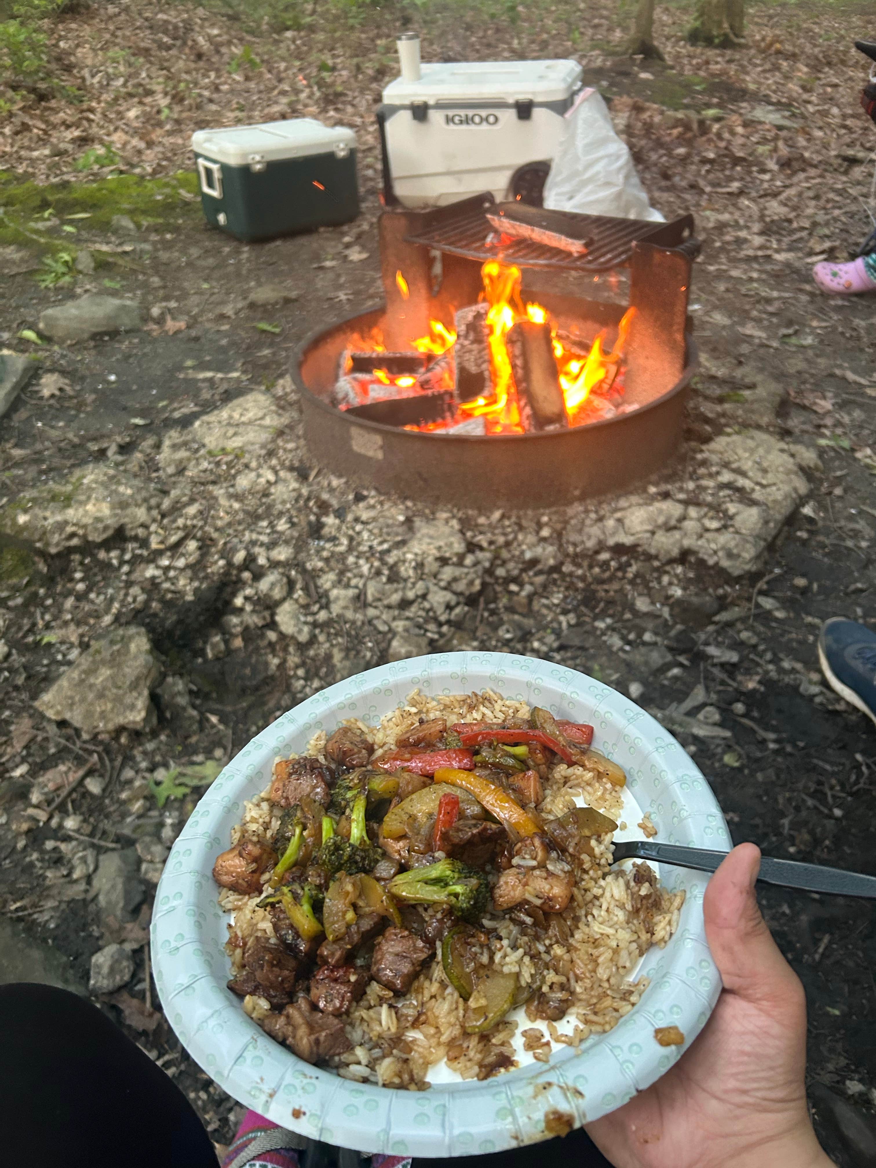 Camper-submitted photo at Rhododendron Camping Area near Brownfield, PA