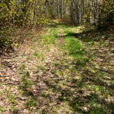 Review photo of Rhody Trail Pull Off by Kathleen B., May 31, 2025