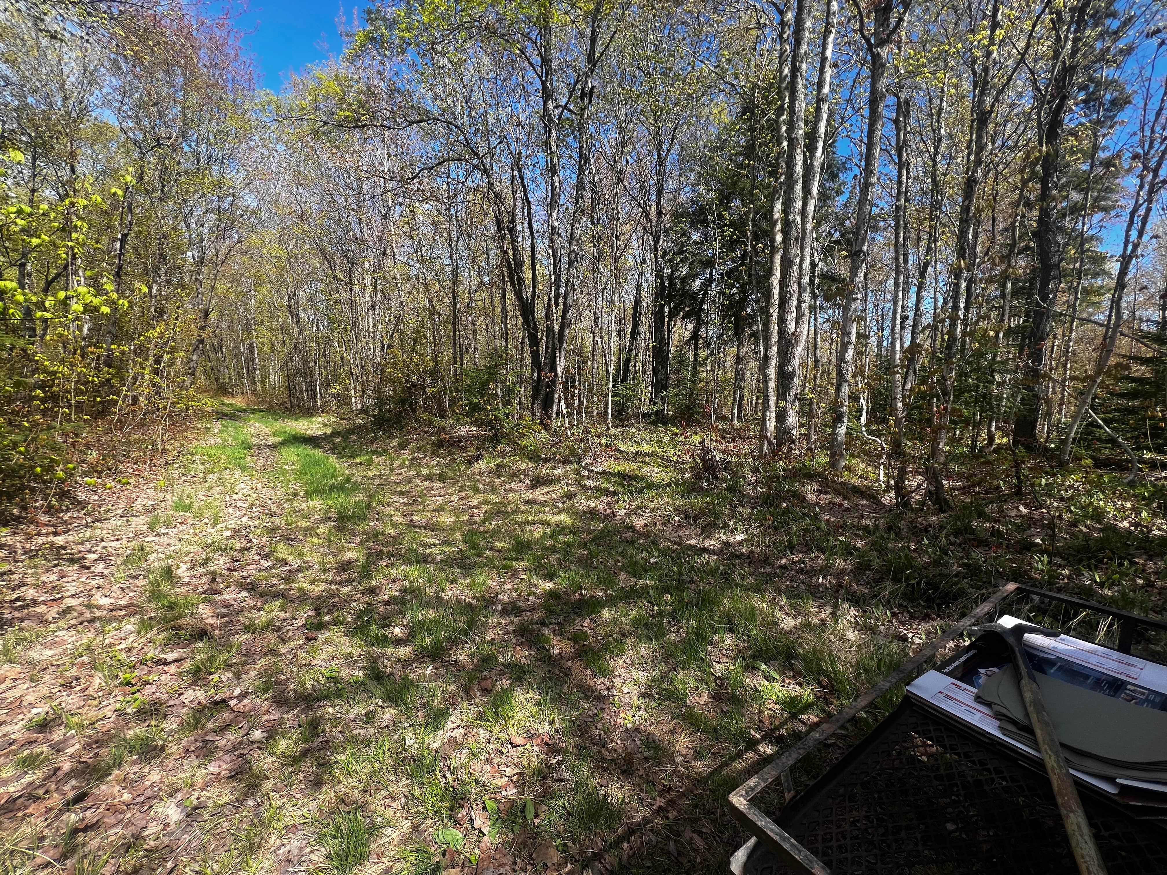 Camper-submitted photo at Rhody Trail Pull Off near Pictured Rocks National Park