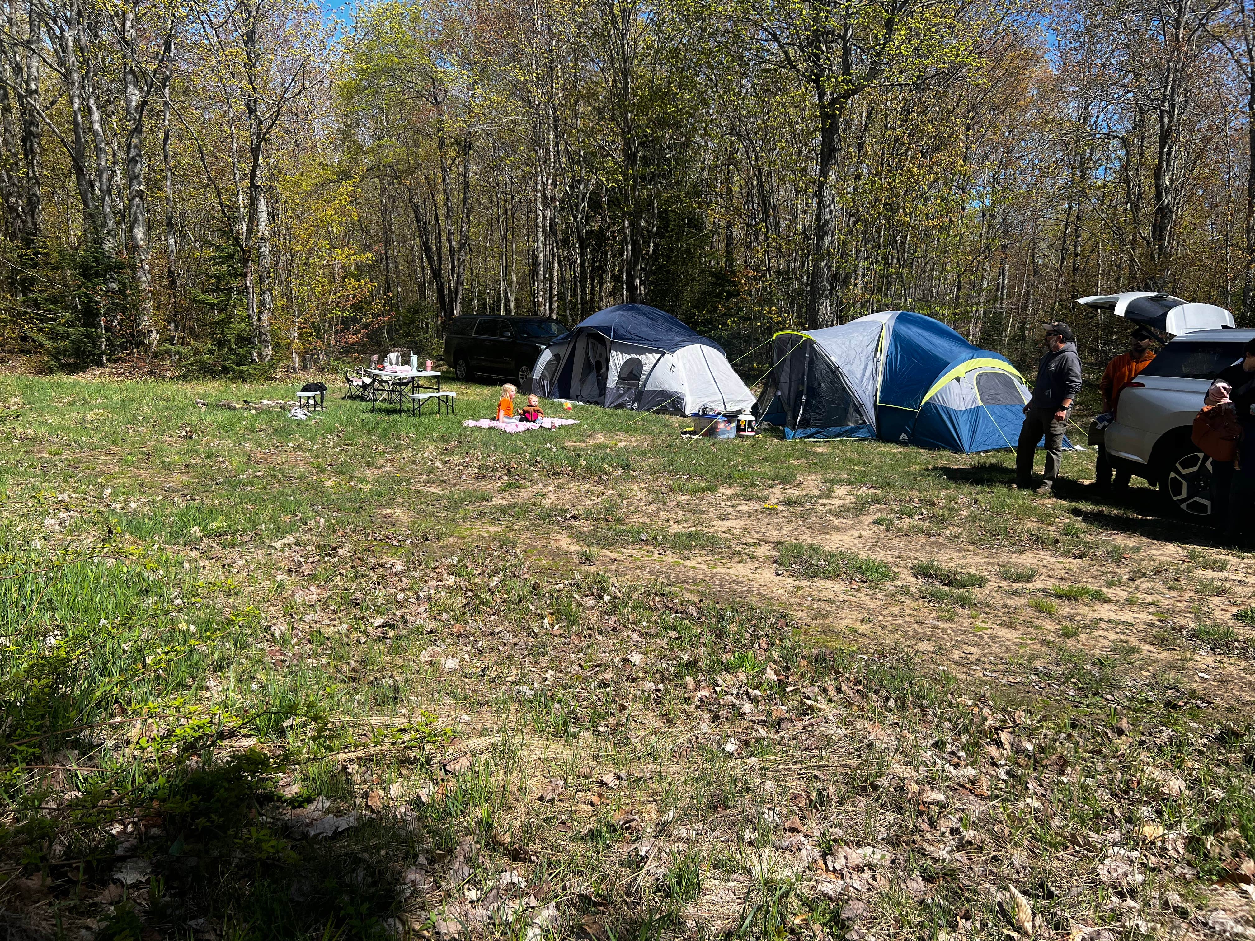 Kathleen B.'s photo of a dispersed camping area at Rhody Trail Pull Off near Pictured Rocks National Park