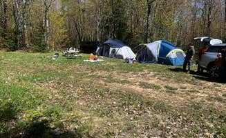 Kathleen B.'s photo of a dispersed camping area at Rhody Trail Pull Off near Newberry, MI