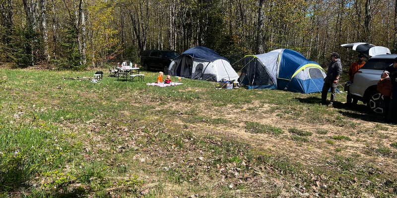 Camper submitted image from Rhody Trail Pull Off