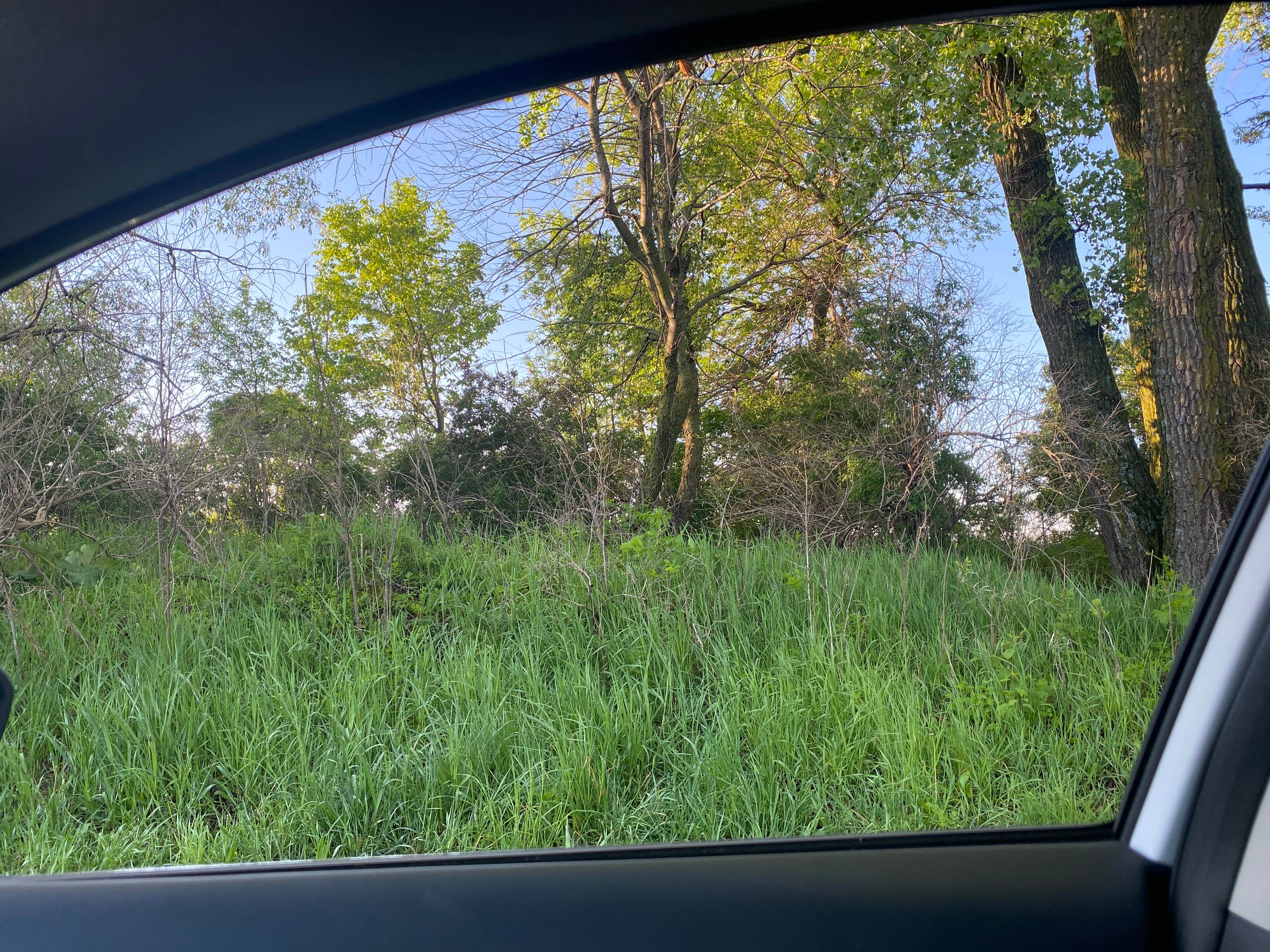 Camper-submitted photo at Rice Lake Wildlife Management Area near Clear Lake, IA