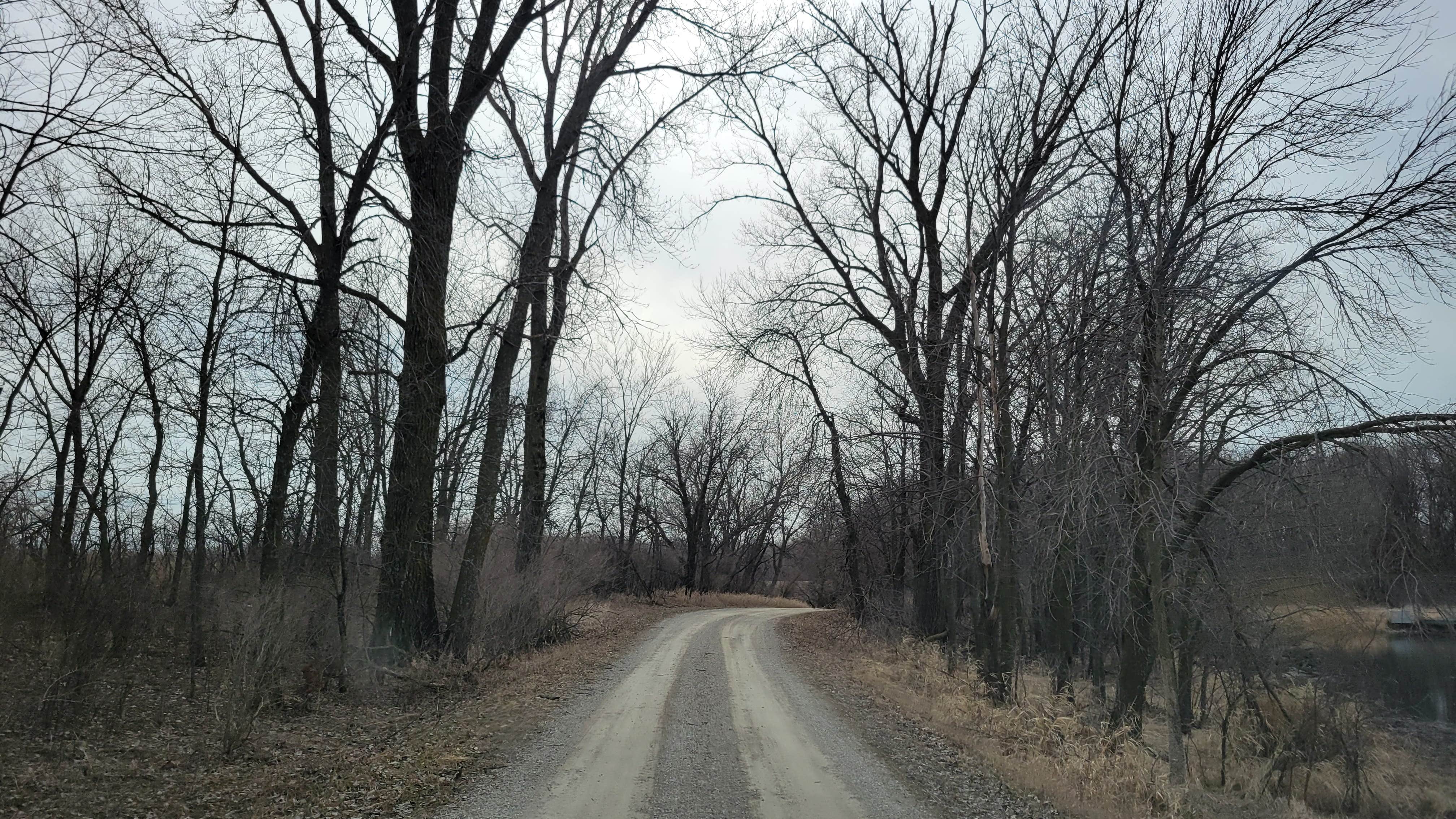 Camper-submitted photo at Rice Lake Wildlife Management Area near Britt, IA