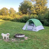 Review photo of Richard J Dorer Memorial Hardwood Forest Isinours Management Unit by Demeri C., September 1, 2025