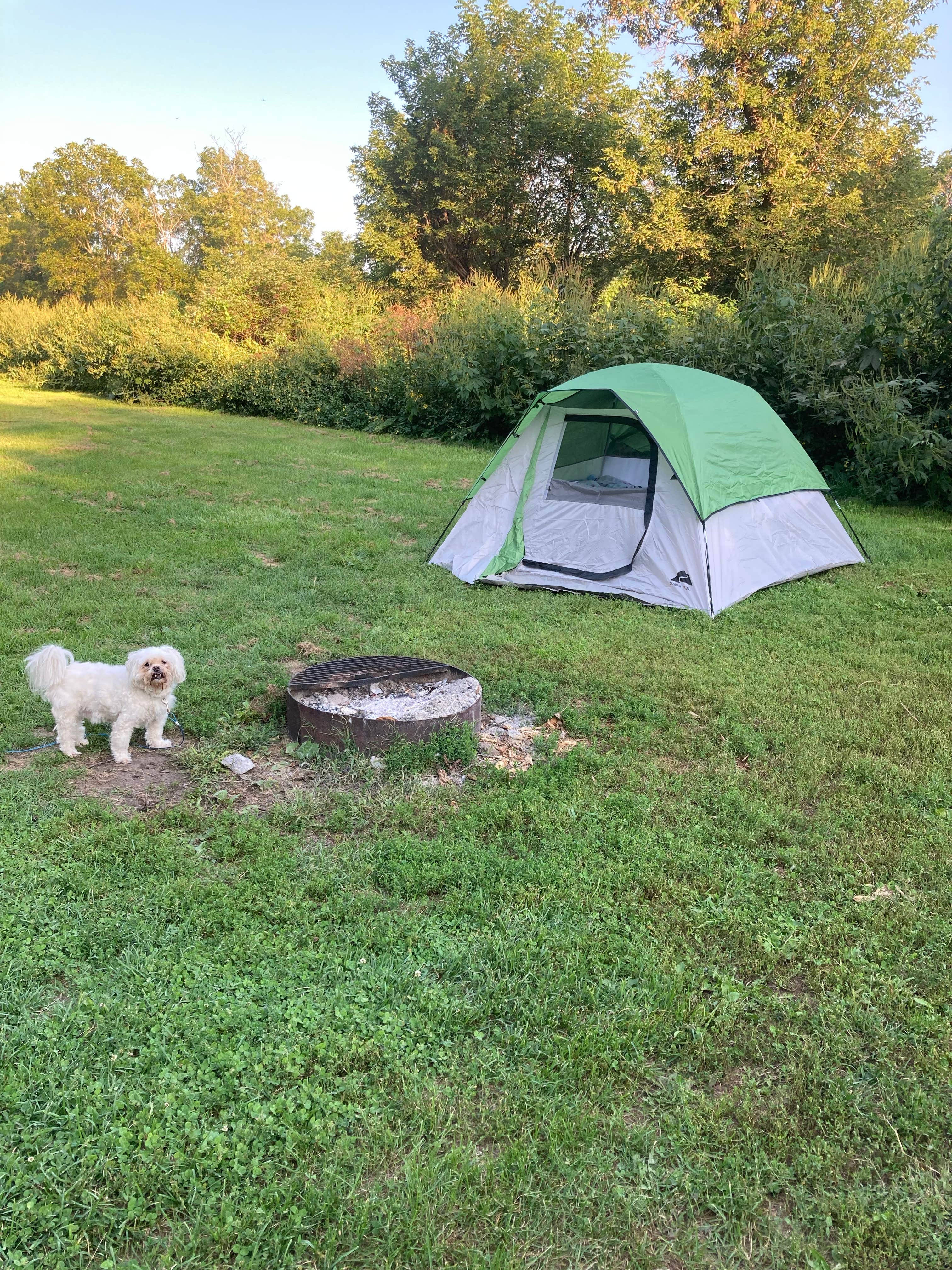 Camper submitted image from Richard J Dorer Memorial Hardwood Forest Isinours Management Unit - 1