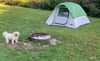 Demeri C.'s photo at Richard J Dorer Memorial Hardwood Forest Isinours Management Unit near Le Roy, MN