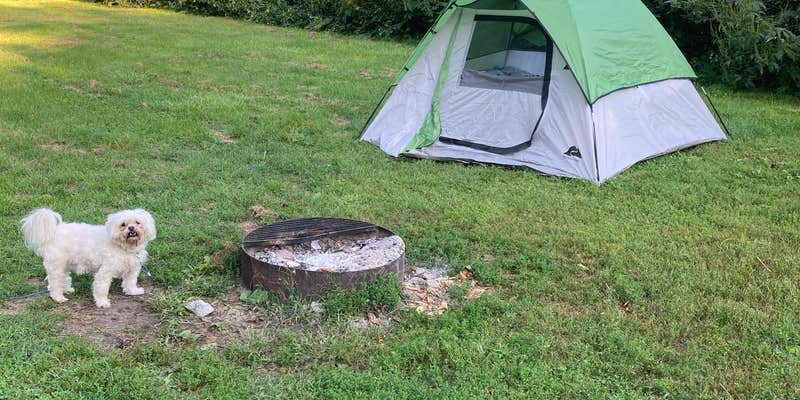 Camper submitted image from Richard J Dorer Memorial Hardwood Forest Isinours Management Unit