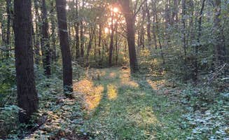 Demeri C.'s photo of a dispersed camping area at Richard J Dorer Memorial Hardwood Forest Isinours Management Unit near Nelson, WI