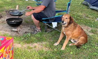 Stephanie W.'s photo at Richard's Canoe Rental & Campground near Thayer, MO