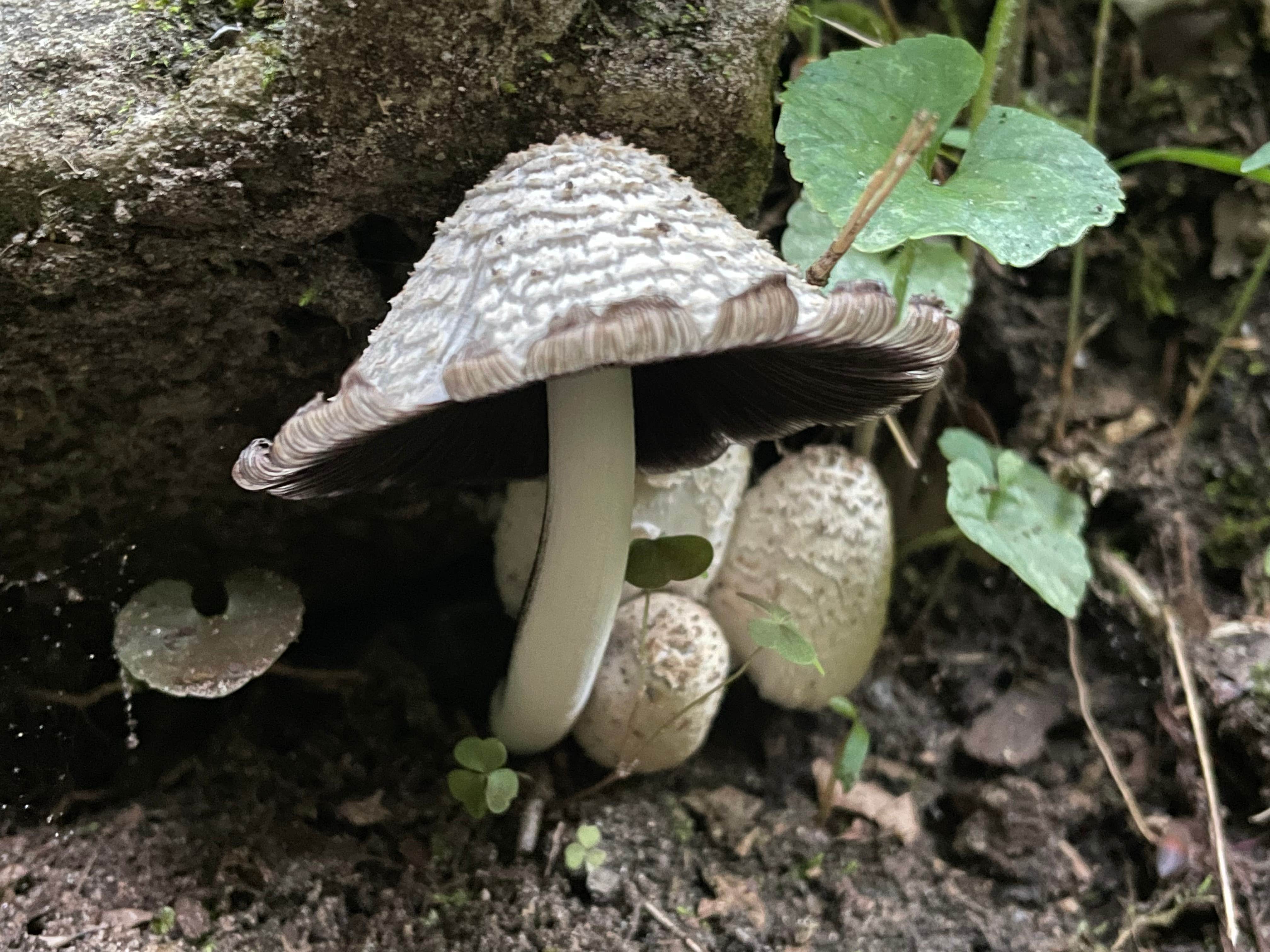 Camper-submitted photo at Richard's Canoe Rental & Campground near West Plains, MO