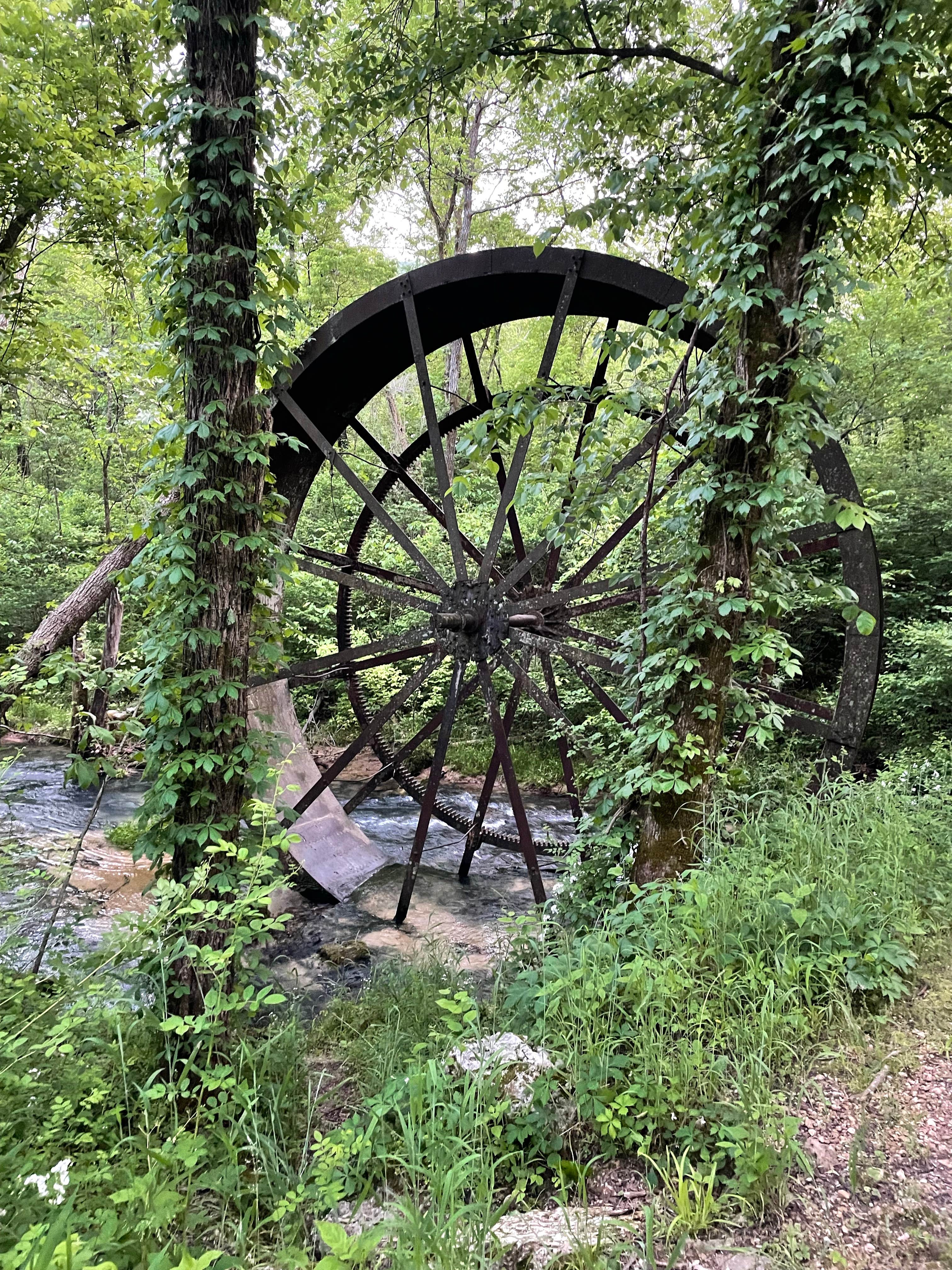 Camper-submitted photo at Richard's Canoe Rental & Campground near West Plains, MO