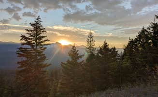 David M.'s photo of a dispersed camping area at Richmond Marshall hookup trail dispersed campsite near Dixon, MT