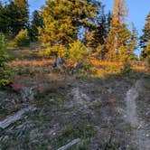 Review photo of Richmond Marshall hookup trail dispersed campsite by David M., September 21, 2025