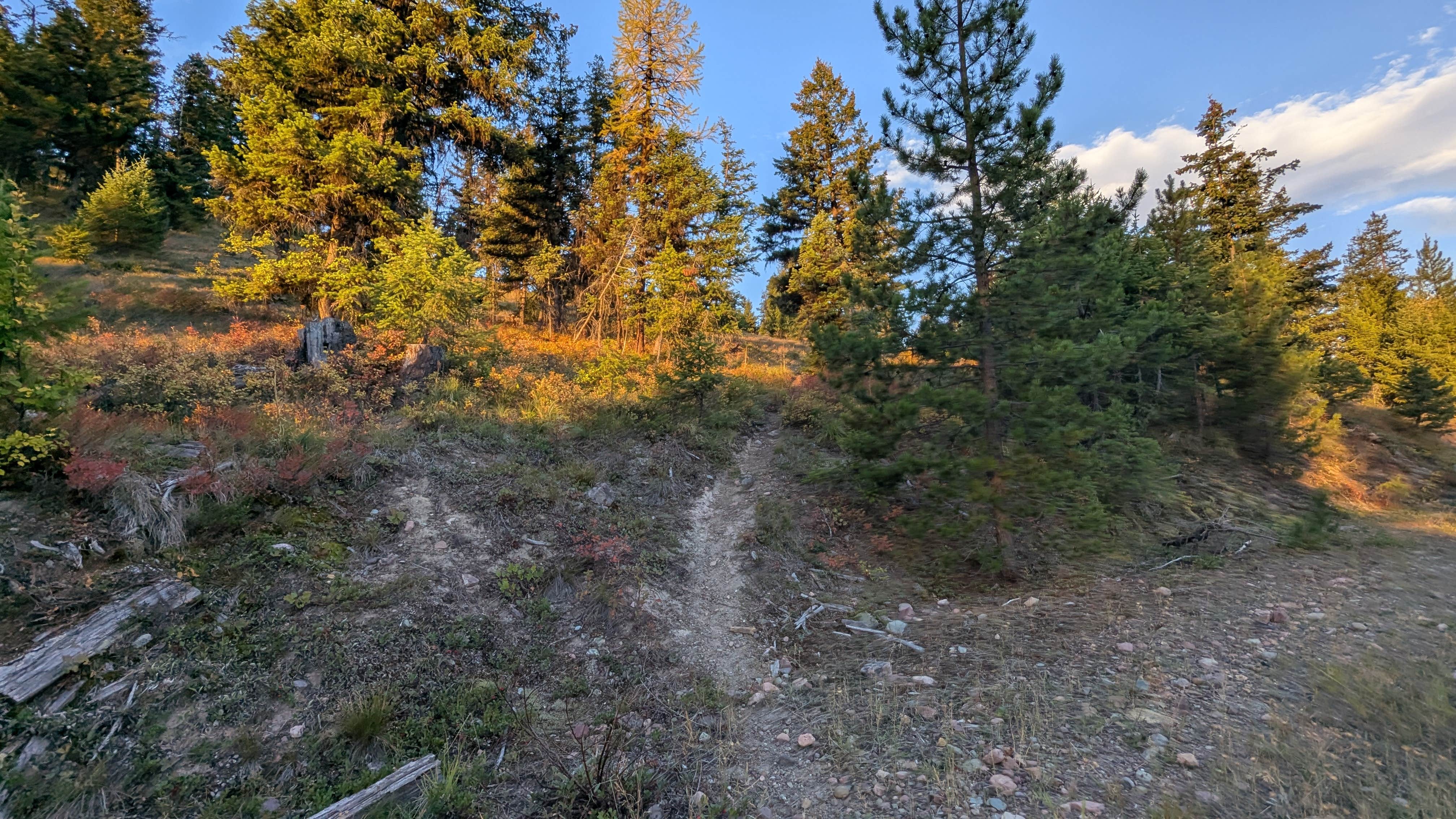 Camper submitted image from Richmond Marshall hookup trail dispersed campsite - 2