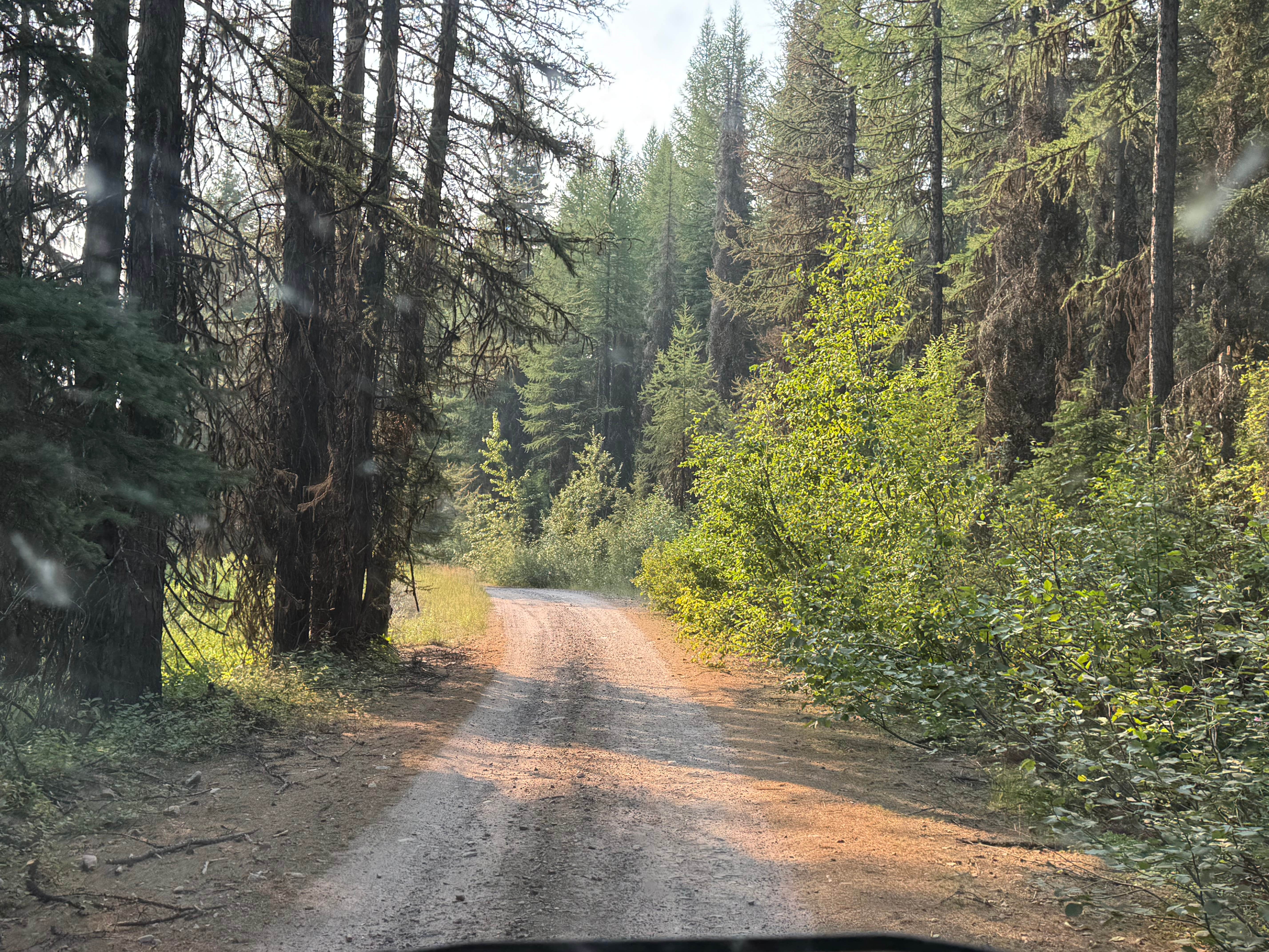 Camper-submitted photo at Richmond Marshall hookup trail dispersed campsite near Condon, MT