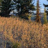 Review photo of Richmond Marshall hookup trail dispersed campsite by David M., September 21, 2025