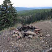 Review photo of Richmond Marshall hookup trail dispersed campsite by David M., September 21, 2025