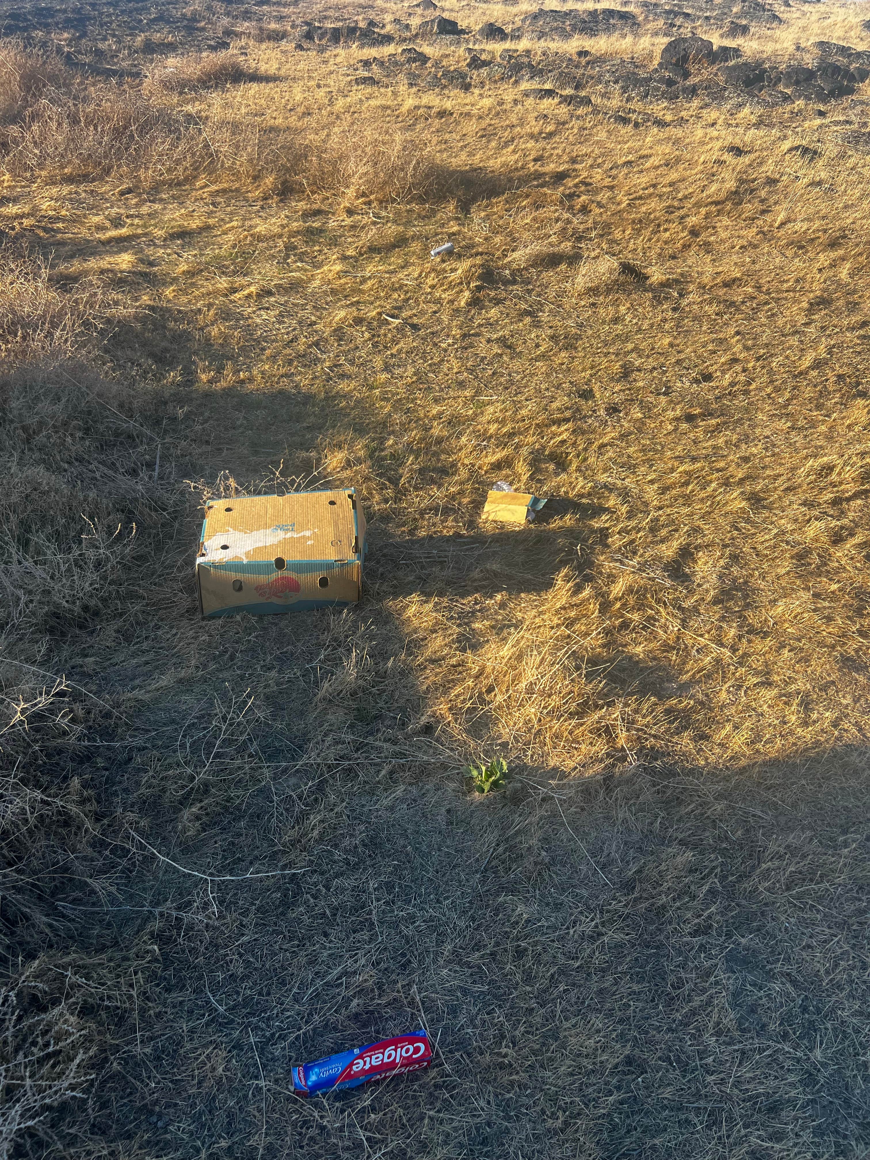 Camper-submitted photo at Ricketts RV Camp near Hansen, ID