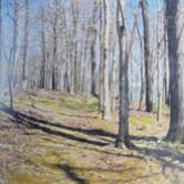 Review photo of Ridge Campground — Lake Wappapello State Park by Shawn S., May 20, 2026