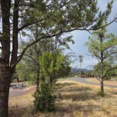 Review photo of Elk Ridge Campground — Ridgway State Park by Don R., September 15, 2026