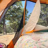 Review photo of Elk Ridge Campground — Ridgway State Park by Hannah R., July 13, 2026