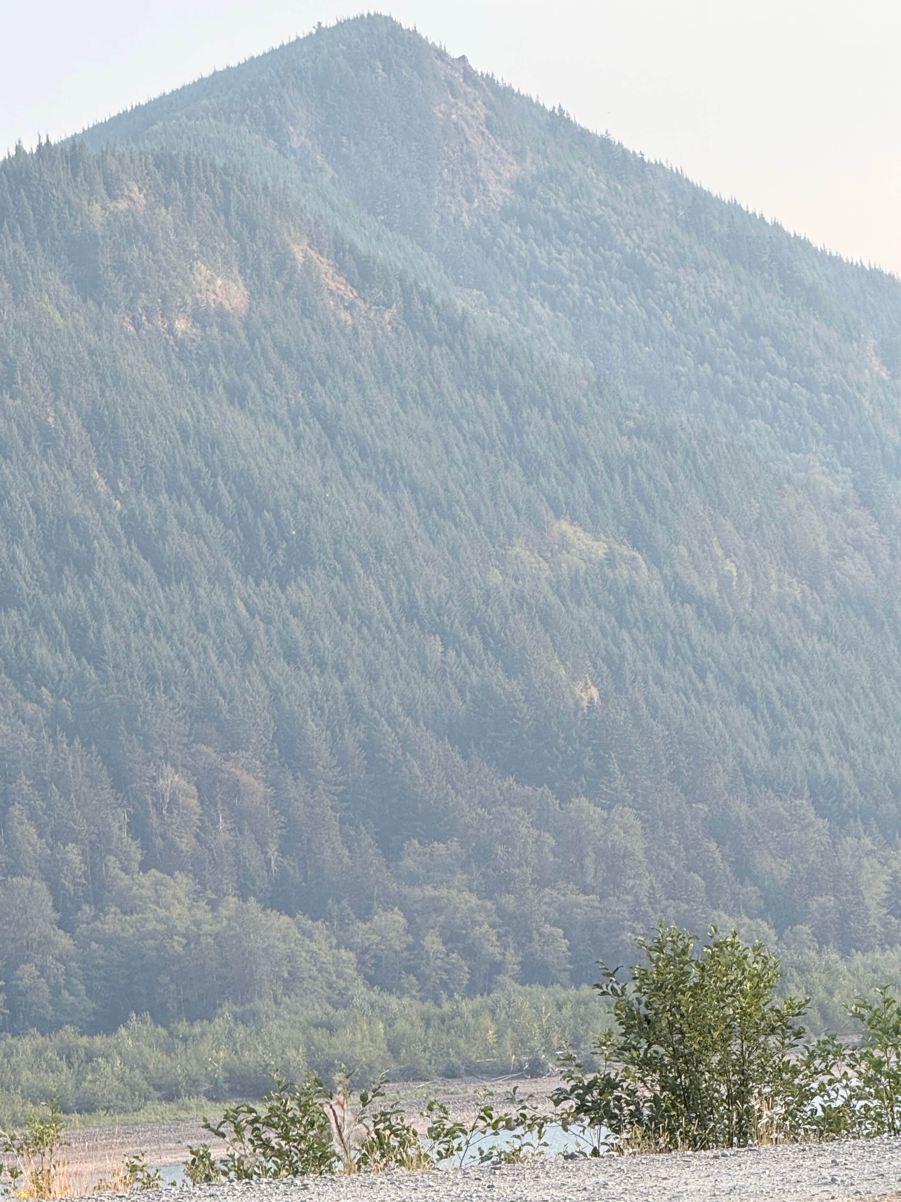 Camper-submitted photo at riffe lake near Morton, WA