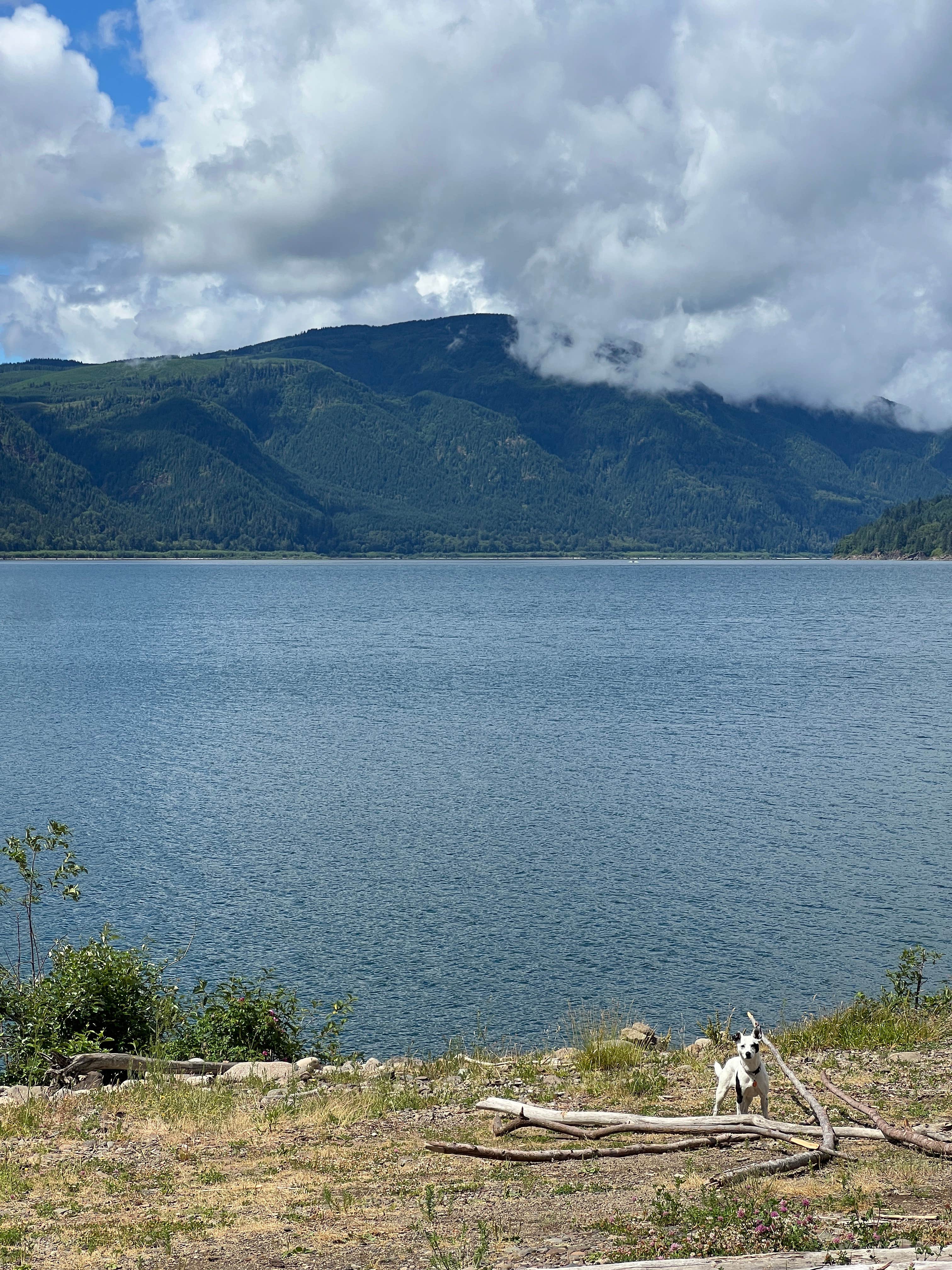 Camper-submitted photo at riffe lake near Onalaska, WA